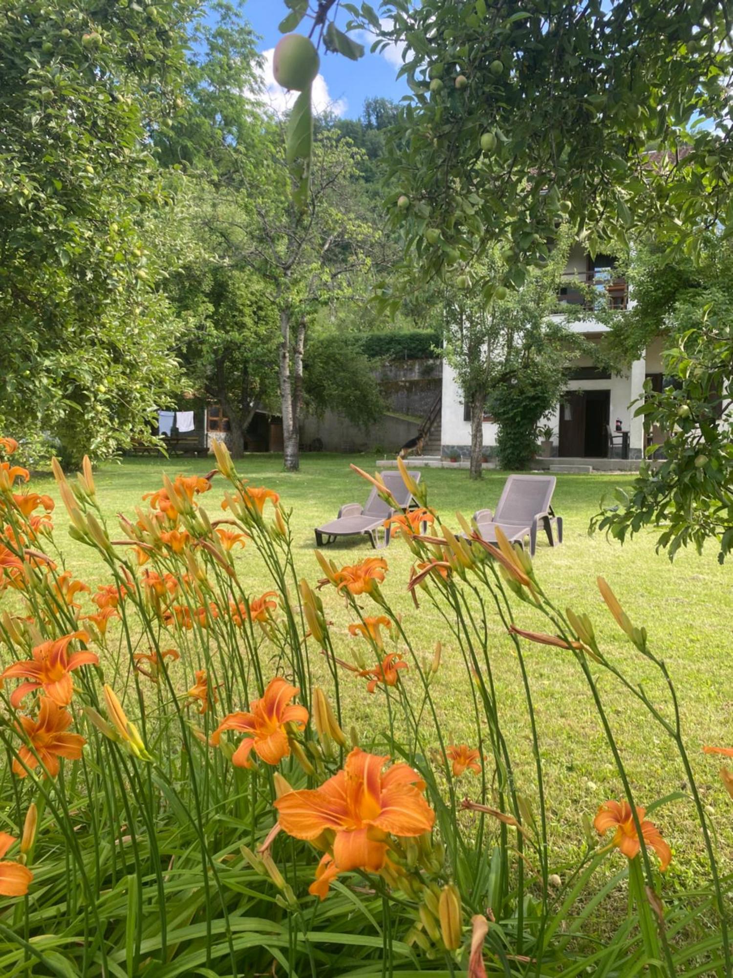 Konjic Lakeside Resort 外观 照片